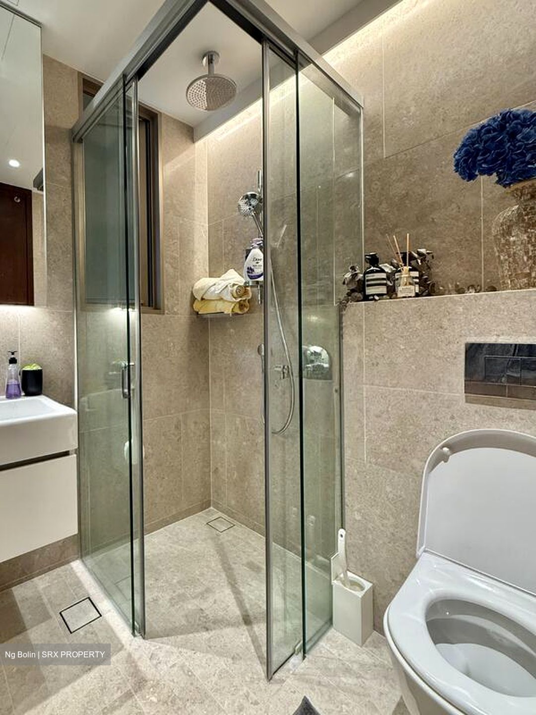 Draycott Park (D10), Condominium #499985141